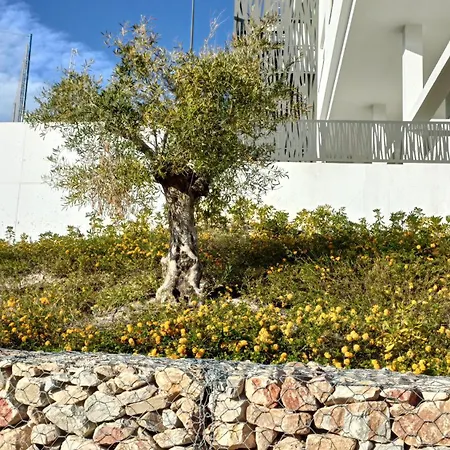 Sun And Apartment